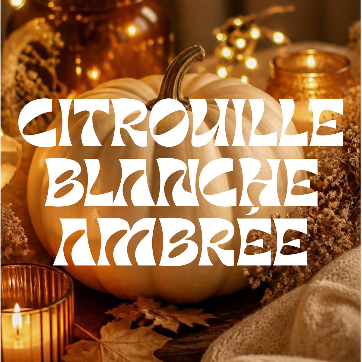 La box parfumée du mois : CITROUILLE BLANCHE AMBRÉE 🎃🍂